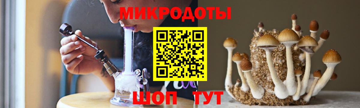 Галлюциногенные грибы Psilocybine cubensis Наро-Фоминск